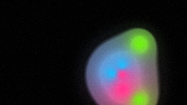 Static Bloom, animated blobs background